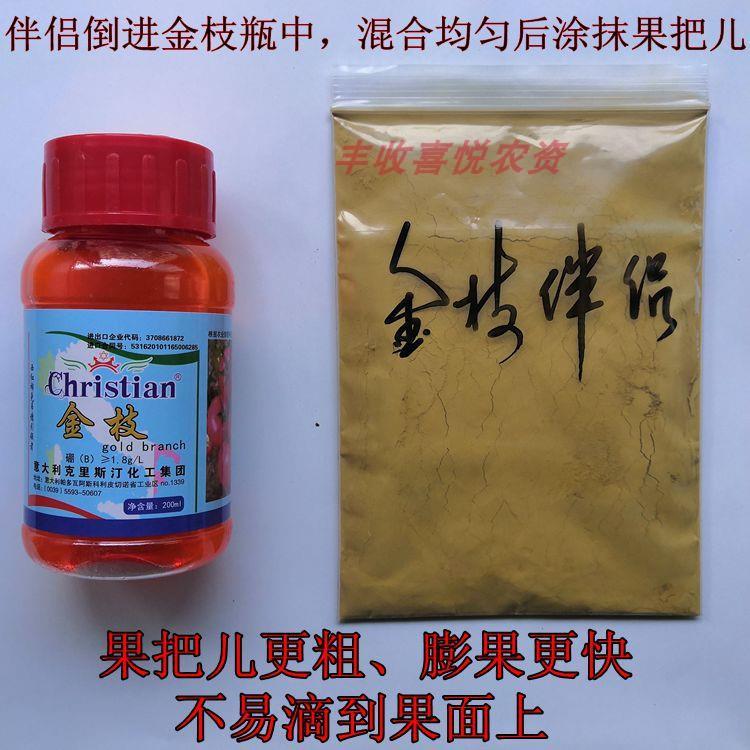 极速金枝进口番茄l免吊穗番茄铁把粗把果把粗壮有韧性膨果快免吊