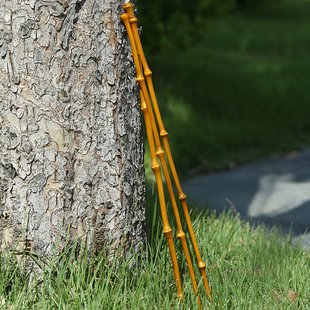 极速手工筇竹教条竹条教鞭教w师专用指挥棒藤条文玩把玩竹子棍子