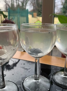 极速10pcs/set Magic Hatching Growing Dinosaur Add WWater Gro