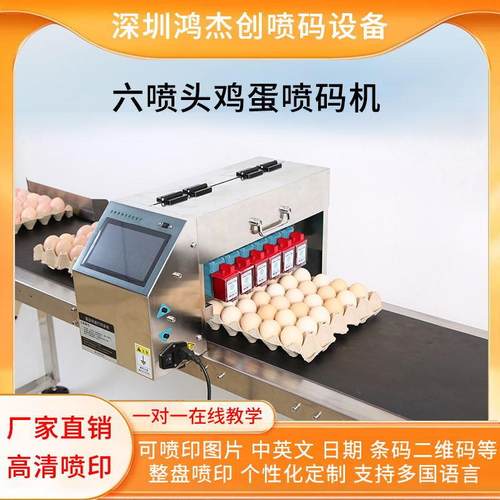 多头多色喷头鸡蛋油墨日期图案字符喷码机器流水线整盘蛋托
