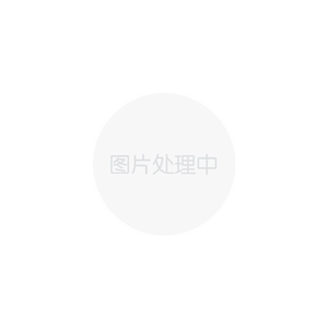 扬子空气循环扇对流扇静音落地式宿舍办公室家用电风扇大风量HQ