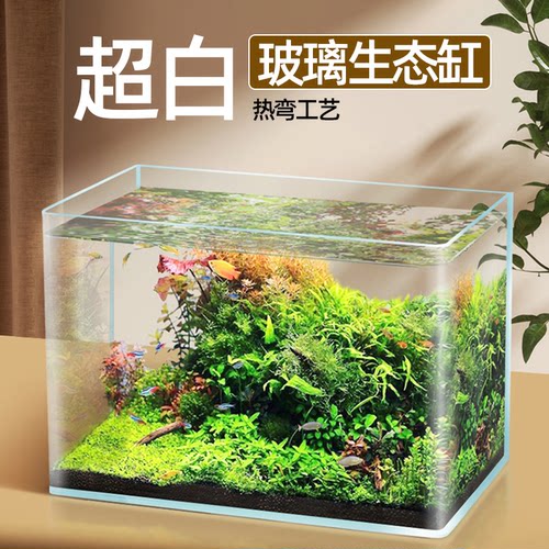 超白热弯玻璃鱼缸客厅小型2023新款电视柜旁餐桌面生态水族箱金鱼