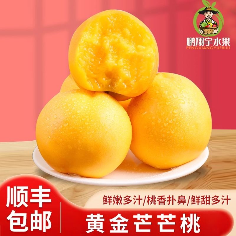 顺丰包邮】正宗山西芒芒桃超甜黄肉油桃新鲜芒果桃子水果礼盒装