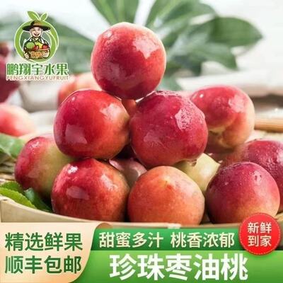 【顺丰包邮】正宗珍珠枣油桃脆甜枣桃红心离核枣蜜桃当季新鲜水果
