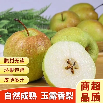 【顺丰水果】正宗山西玉露香梨薄皮脆甜香梨子当季新鲜水果礼盒装