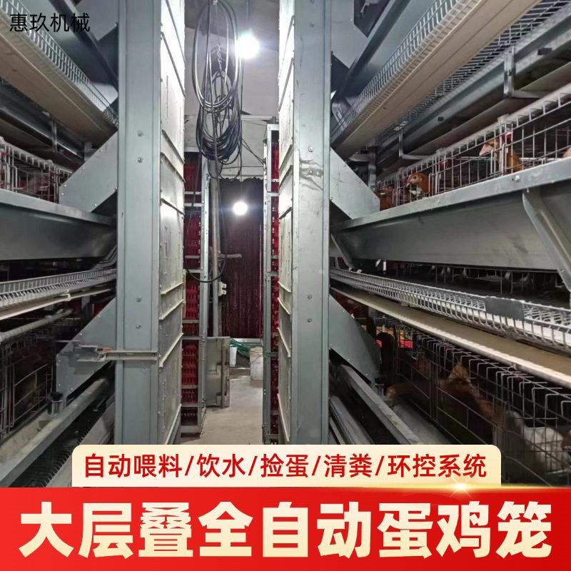 立式大层叠蛋鸡笼厂家自动化层叠式蛋鸡笼养殖场热镀锌养殖设备
