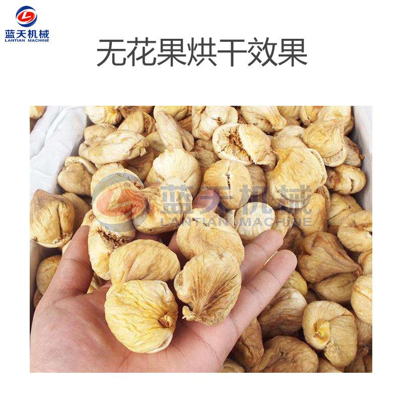 大型无花果干果烘房红心无花果脱脯水烧颗粒TMZ烘干干机无花烘干