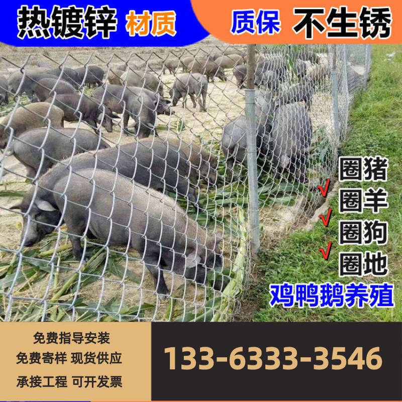 镀锌铁丝网钢丝围栏防护