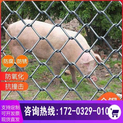 热镀锌铁丝网围栏网防锈防护网