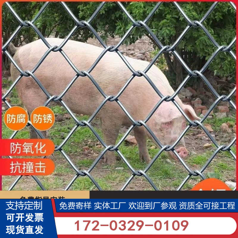 加粗镀锌防锈铁丝网安全防护