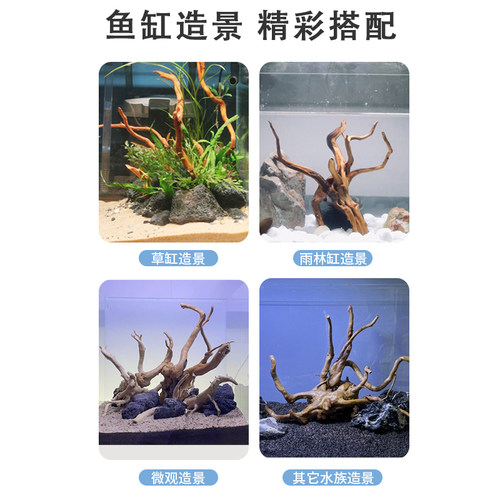 极速鱼缸造景沉木树根摆件莫斯树森林微景观O水草缸天然杜鹃木装
