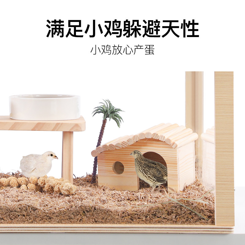 极速芦丁鸡窝实木屋造景用品全套卢丁鸡房子草P窝鸡窝装饰专用下,宠物/宠物食品及用品,鸟禽其他,淘宝优惠券,粉丝福利购,淘宝优惠卷