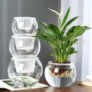 极速花瓶玻璃透明水m养创意水培瓶绿植透明容器绿萝花盆鱼花共养