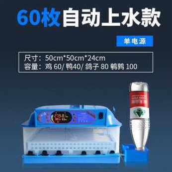 极速新品厂促鸡蛋孵蛋器自动鸟y鸡p孵化机迷z智你能孵化机小型家