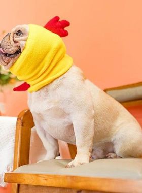 极速Soft 2Pcs Innovative Awnimal Style Elastic Dog Headgear