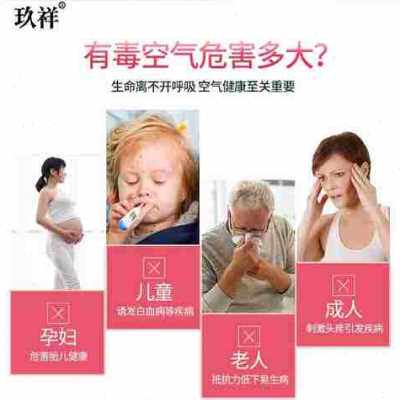 极速爆品净化王21活性炭除甲醛家装除G味新房装修去味碳家用竹炭