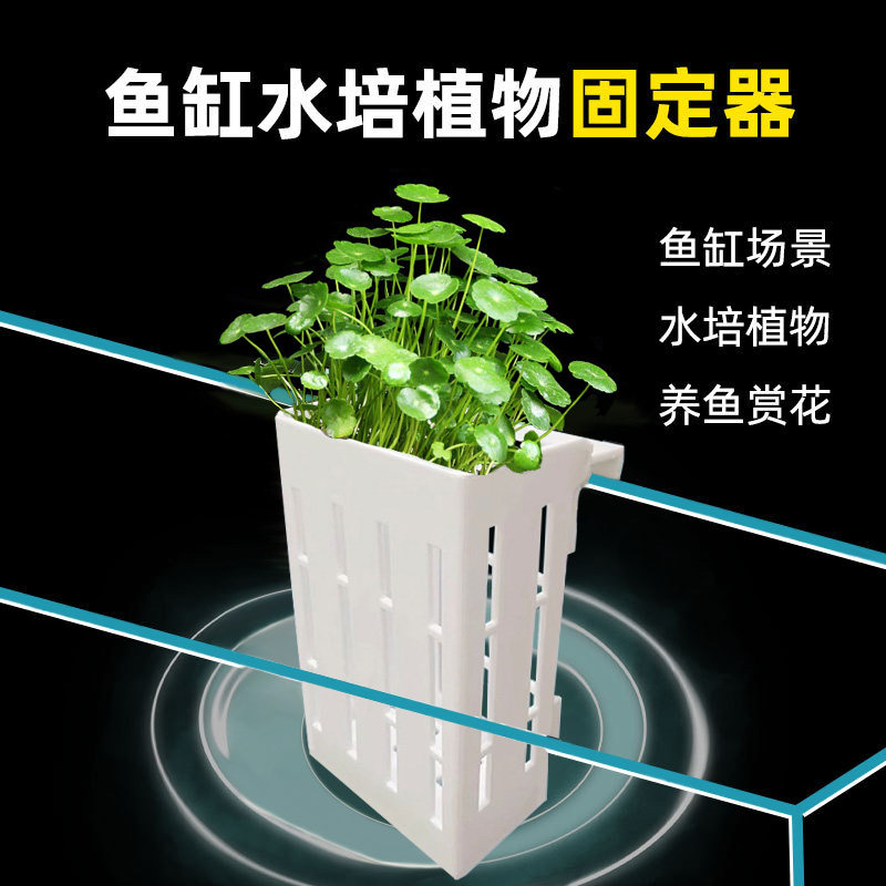 速发鱼缸水培定植篮水挂式壁草种植物植杯支架固定神器鱼缸造景装