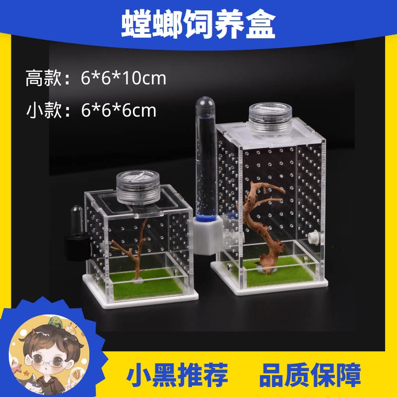 宠物跳蛛蜘蛛饲养盒饲养箱透明亚克力高透 透气 盒子造景 保湿
