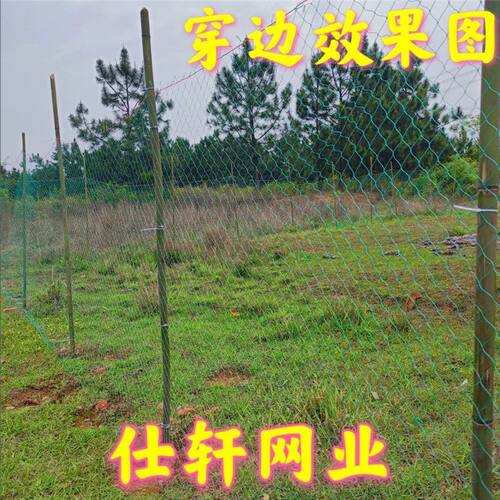 热销大棚防鸟网葡萄棚围边网避雨棚天沟网幼鸡养殖W网稻田菜地防