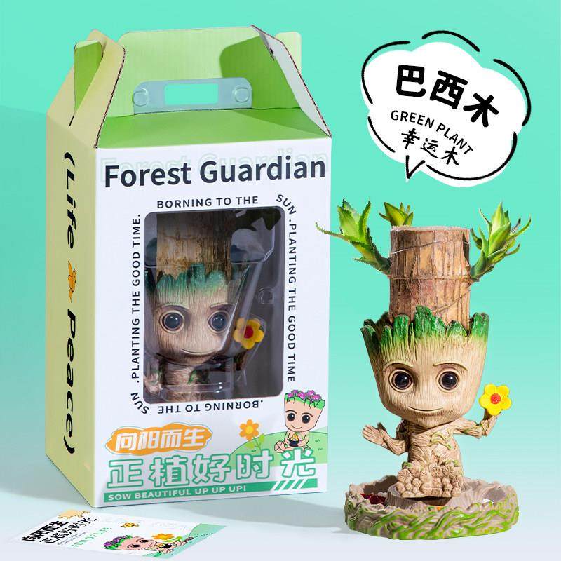 巴西木带芽发货水培幸运木室内办公室桌面小盆栽格鲁特小树人摆件,鲜花速递/花卉仿真/绿植园艺,绿植,淘宝优惠券,粉丝福利购,淘宝优惠卷