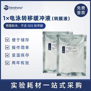BL626A blot 1×电泳转移缓冲液 western Tran 转膜液 Biosharp