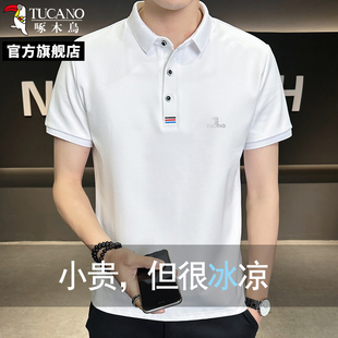 Polo衫 啄木鸟2025年夏季 商务休闲短袖 新款 冰丝翻领亲肤透气修身