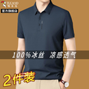 啄木鸟官方旗舰店男士 短袖 爸爸夏t恤2025新款 冰丝商务中年polo衫