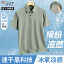 中老年冰丝polo衫 啄木鸟官方旗舰店爸爸短袖 夏季 t恤男士 2025新款