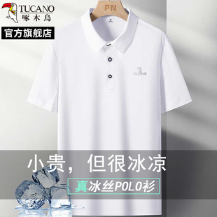 Polo衫 啄木鸟2025年夏季 冰丝凉感透气纯色商务休闲短袖 新款 男士