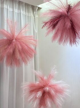 红色婚房装饰套装布置主卧室吊顶芦苇烟花孔雀草晨袍拍照简单大气