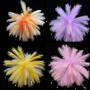 婚房布置装饰晨袍拍照背景多巴胺芦苇烟花孔雀草立柱路引白日焰火