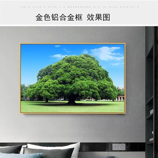 大榕树挂画一棵绿色树招财风水背景贴画大树自粘背胶装饰画有框画