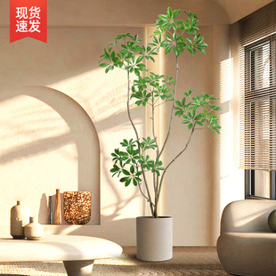速发植物鸭厅木落地盆脚室内大型仿生绿植摆件客栽沙发旁装 饰假树