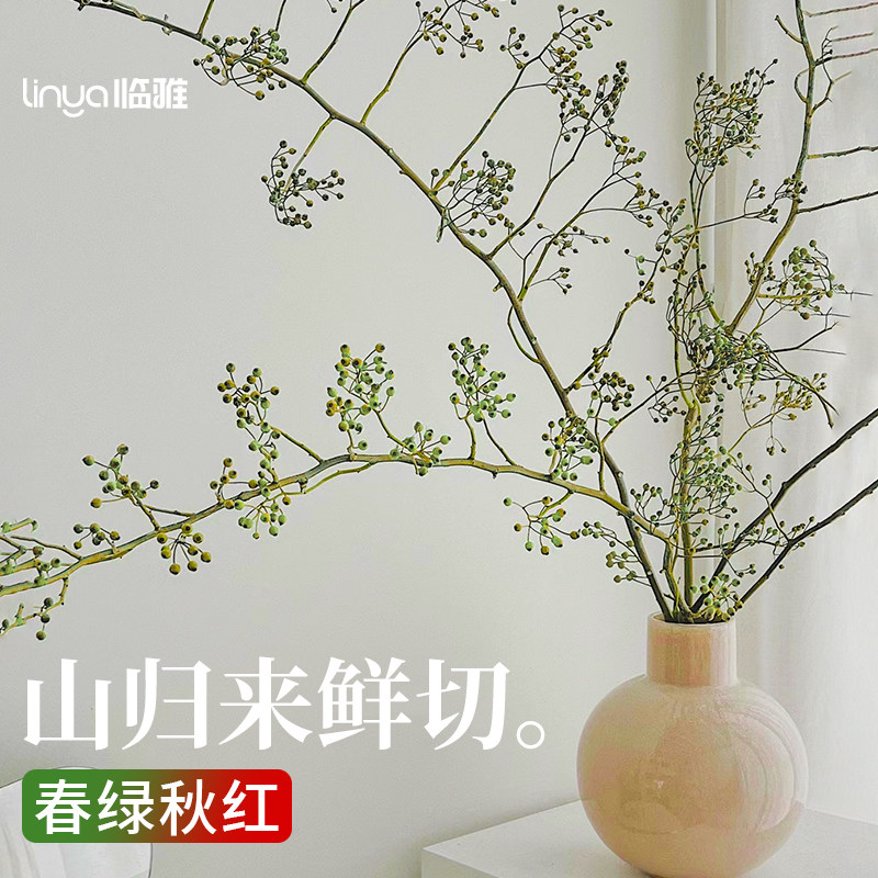 速发山归来鲜干花蔷薇果切枝条水培植物室内家用插花客厅绿植水养