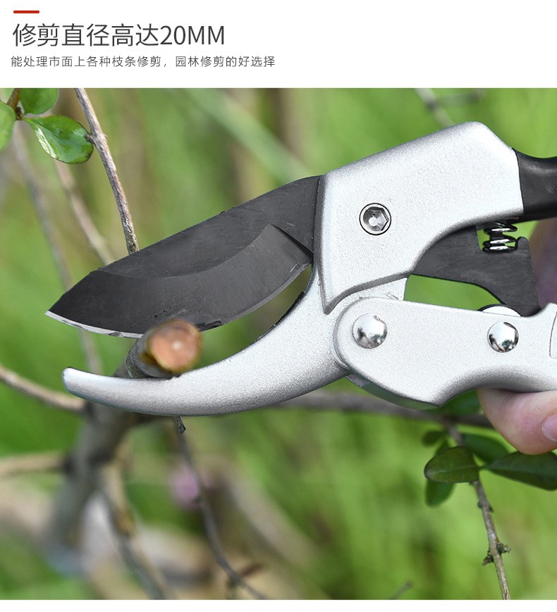 sBlip Germa pruig 现货速发 ful wheel provici