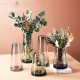 新品 创意简约彩色玻璃花瓶花器摆件Q透明客厅餐桌插花 现代北欧式