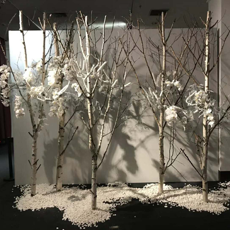 新品白桦树装饰白桦树干白桦木树段F圆木棍白树枝树杈树桩橱窗美