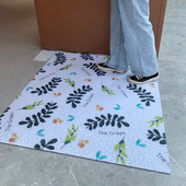 oralu pad rub 极速Ring entrance floor foot oumen mat foyer