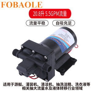 极速新20.8升微l型直流电动高压隔膜泵24V喷雾器洗车灌溉12V自吸