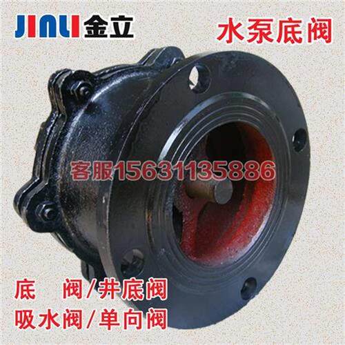 新品H42X-10法兰底阀止回q阀 抽水泵吸水底阀DN50 65 80 100 150