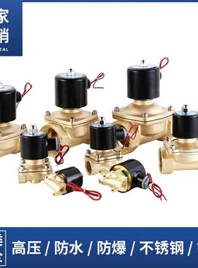 极速常闭电磁阀控制水阀铜开关ACv220V气阀DC24V12V 水管放水4分6