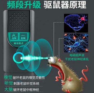 急速发货S电子猫驱鼠器声波大功率家用强力灭鼠神器距智能呕驭駆