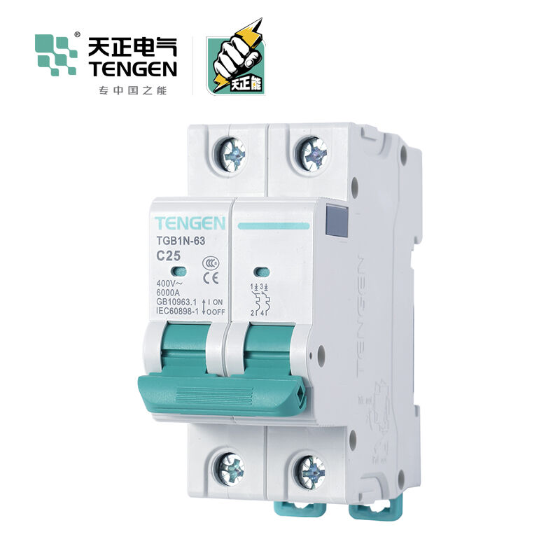 天正电气空气开关TGB1N-632PC32A6KA335012L800663(6只/盒)微型断