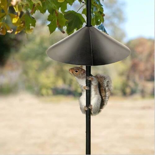 极速Hot Wrap Around Squirrely Baffle, Unique Metal Raccoon &
