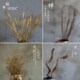 新品 丑器天然干花枯草树枝过江y龙树藤干枝酒店客厅餐厅会所样板