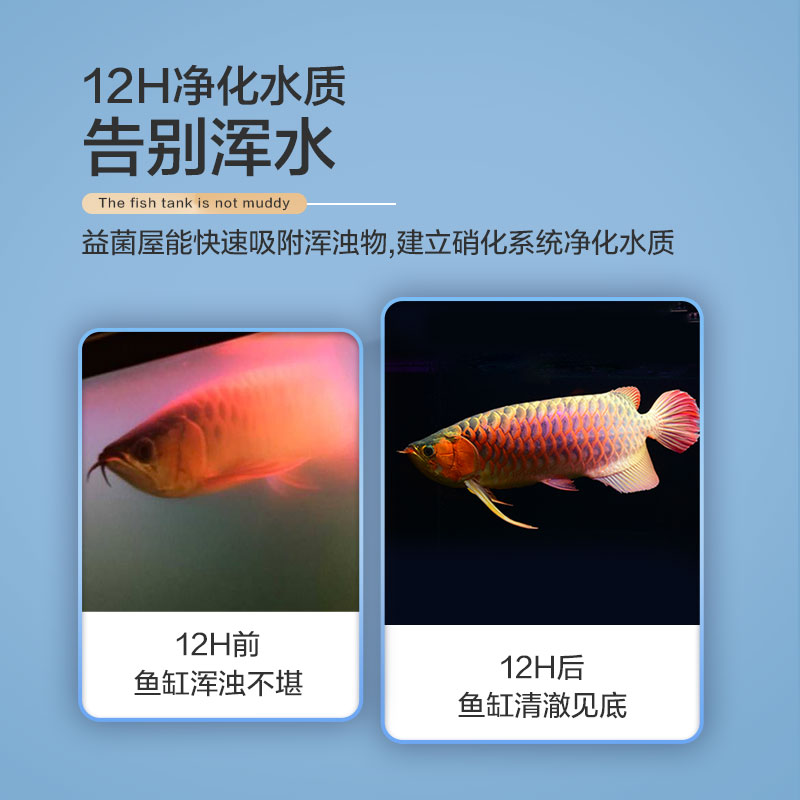 极速鱼缸过滤材料硝n化屋陶瓷环鱼池净化水质石英球过滤器滤材