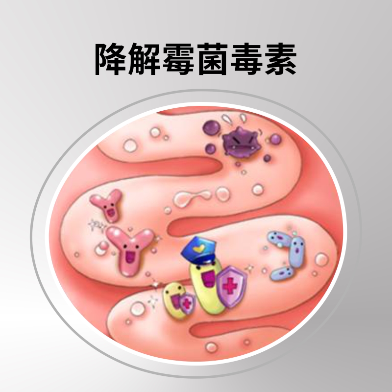 极速【霉独清】脱霉剂养殖兽用母猪牛羊鸡饲料霉菌毒X素孕畜生物