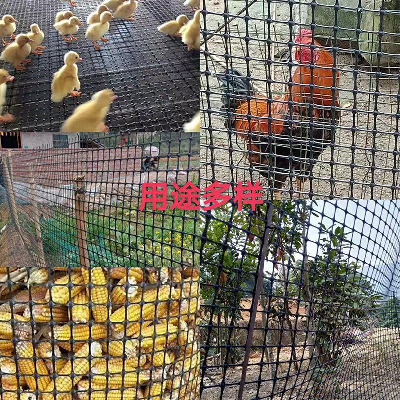 热销加厚胶网子塑料m网鸡鸭围栏圈地围网果园防护网圈玉米网漏粪