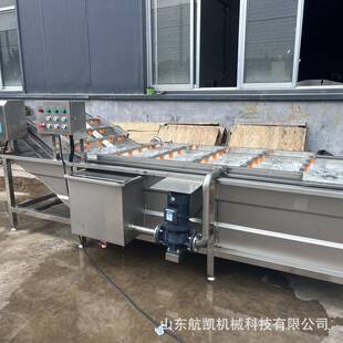 红柿辣椒菜清TUE洗机 果西清蔬气泡清洗机 果蔬洗加工流水线鼓泡