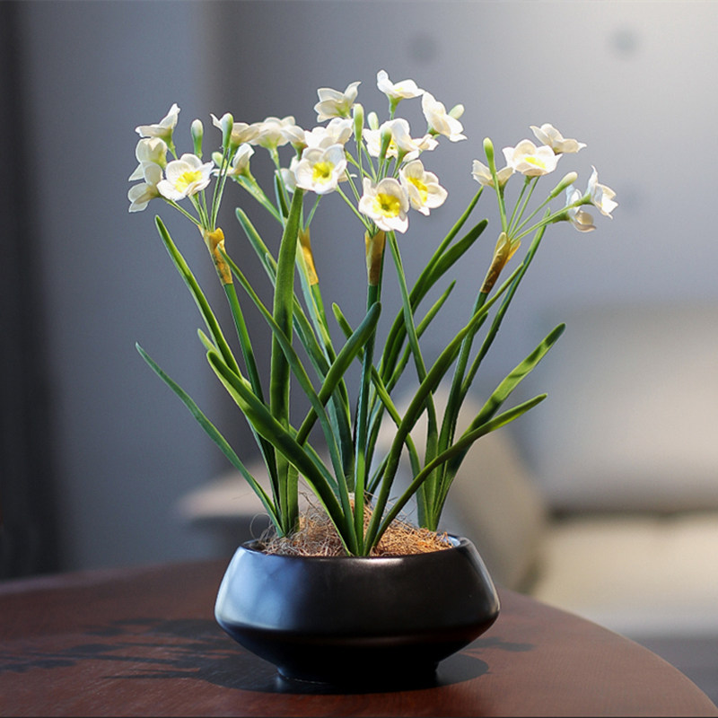 速发奢花水仙花装植盆景高端轻假室内绿饰花盆栽客厅餐桌摆设